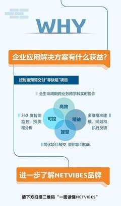一圖讀懂NETVIBES 重資產項目數據智能與企業技術咨詢服務